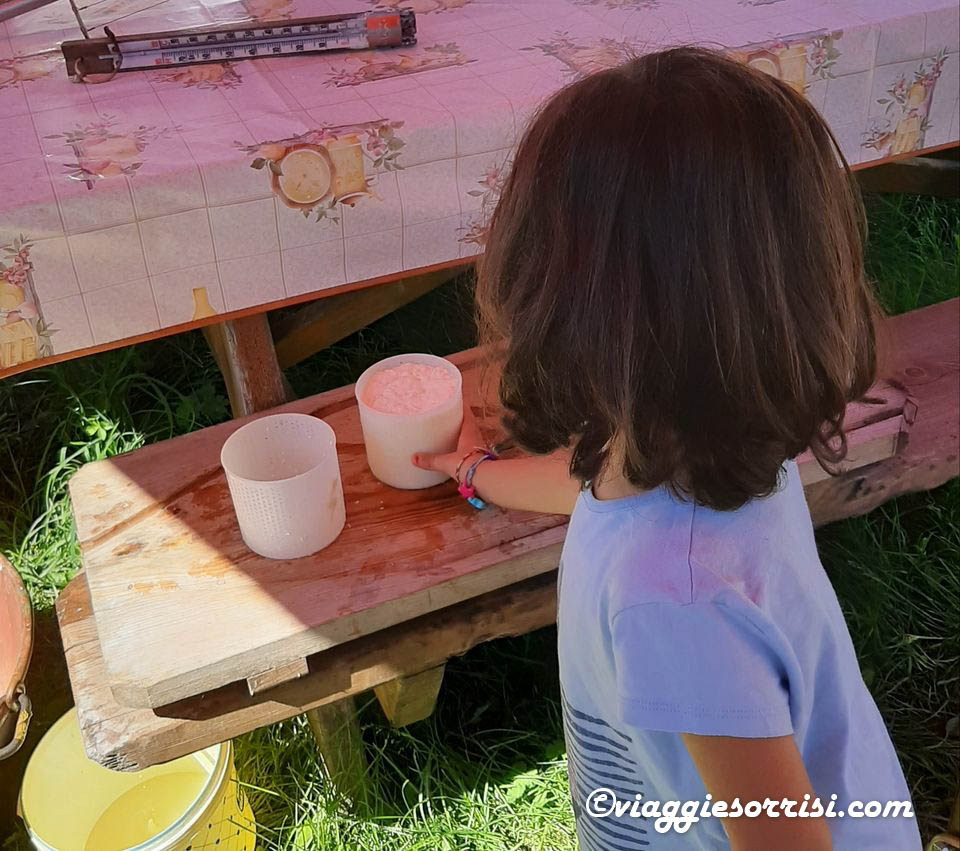 fare il formaggio in val di sole