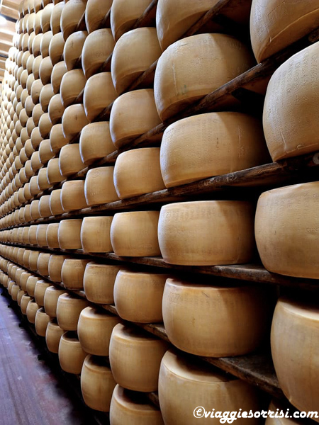 stagionatura visita Caseificio parmigiano reggiano