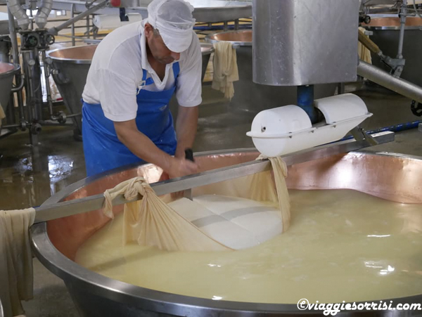 visita Caseificio parmigiano reggiano 5