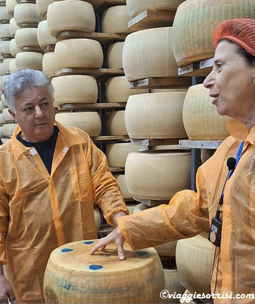 visita Caseificio parmigiano reggiano guidata