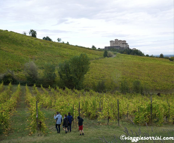 castello di torrechiara parma